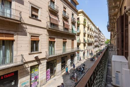 Pis en Lloguer a Barcelona Princesa - Born