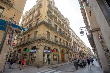Pis en Lloguer a Barcelona Princesa - Born