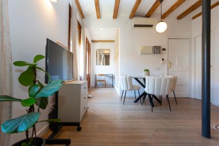 Appartement te huur in Barcelona Rec Comtal - Arc De Triomf (min 6 Months)