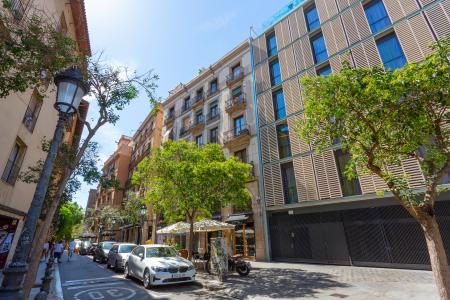 Appartement te huur in Barcelona Rec Comtal - Arc De Triomf (min 6 Months)