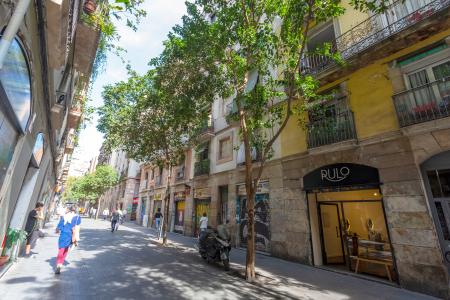 Pis en Lloguer a Barcelona Joaquin Costa - Valldonzella