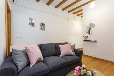 Pis en Lloguer a Barcelona Joaquin Costa - Valldonzella