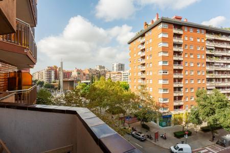 Pis en Lloguer a Barcelona Avenida Madrid - Rambla Brasil