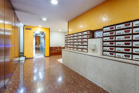 Pis en Lloguer a Barcelona Avenida Madrid - Rambla Brasil