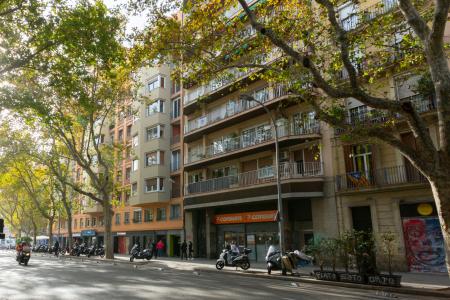 Àtic en Lloguer a Barcelona Ronda Sant Pau - Aldana