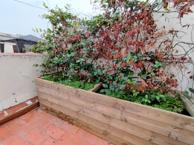 Penthouse for Rent in Barcelona Nou De Sant Francesc - Sils