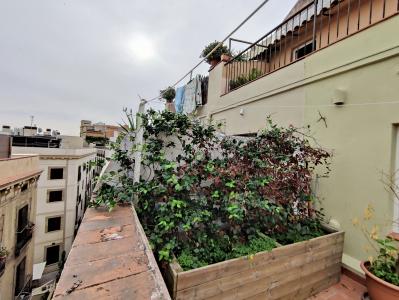 Penthouse for Rent in Barcelona Nou De Sant Francesc - Sils
