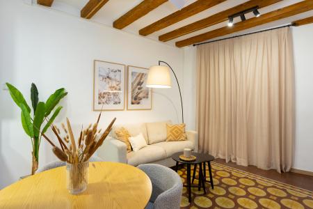 Pis en Lloguer a Barcelona Tallers - Valldonzella