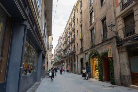 Pis en Lloguer a Barcelona Tallers - Valldonzella