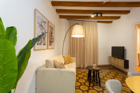 Pis en Lloguer a Barcelona Tallers - Valldonzella