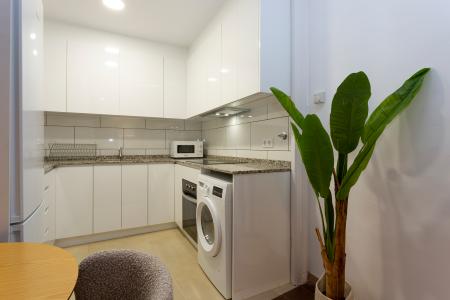 Pis en Lloguer a Barcelona Tallers - Valldonzella