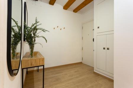 Pis en Lloguer a Barcelona Tallers - Valldonzella