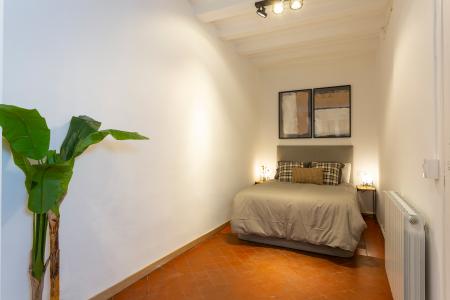 Pis en Lloguer a Barcelona Tallers - Valldonzella