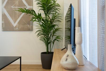 Wohnung zur Miete in Barcelona Lope De Vega - Pujades