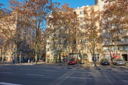 Квартира в аренду в Barcelona Passeig Pujades - Nàpols