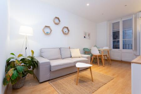 Acogedor piso de alquiler en el centro de Barcelona