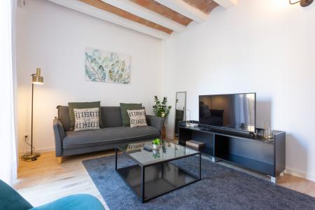 Loft in Affitto a Barcelona Riereta - Aurora (special Conditions)