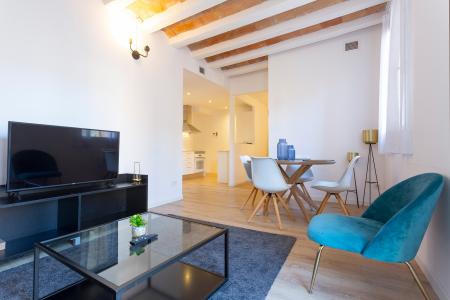 Loft in Affitto a Barcelona Riereta - Aurora (special Conditions)