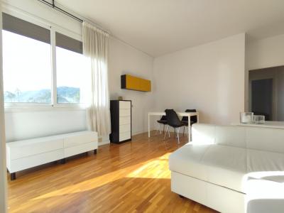 Apartment for Rent in Barcelona Reina Elisenda - Vicenç Foix