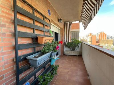 Pis en Lloguer a Barcelona Ciutat D' Elx - Sagrera