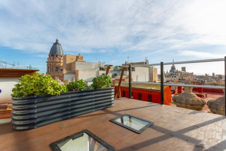 Pis en Lloguer a Barcelona Santa Anna - Portal De L'Àngel