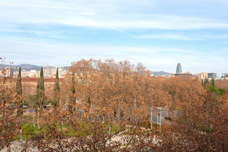Pis en Lloguer a Barcelona Moscu - Ramon Trias Fargas
