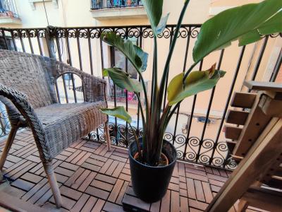 Piso en Alquiler en Barcelona Riereta - Aurora