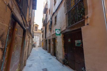 Квартира в аренду в Barcelona Cirera - Flassaders