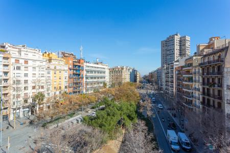 Pis en Lloguer a Barcelona Avenida Roma - Villarroel