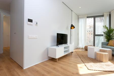 Pis en Lloguer a Barcelona Provença - Girona (10 Months Minimum)