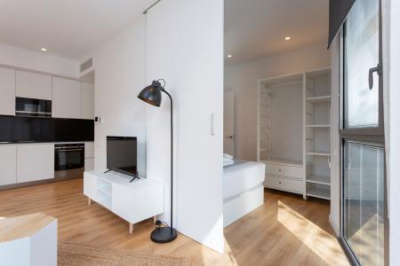 Pis en Lloguer a Barcelona Provença - Girona (10 Months Minimum)