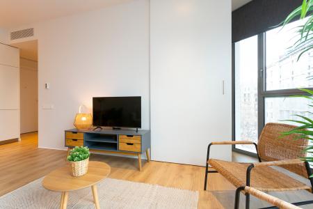 Pis en Lloguer a Barcelona Provença - Girona (10 Months Minimum)