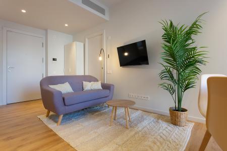 Appartement te huur in Barcelona Provença - Girona (10 Months Minimum)