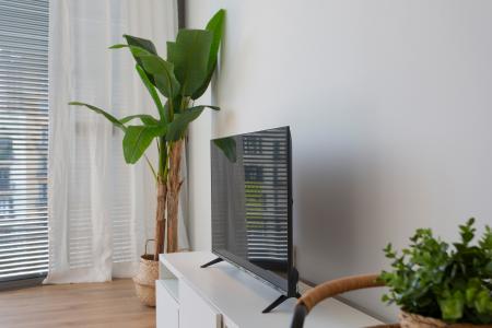 Wohnung zur Miete in Barcelona Provença - Girona (10 Months Minimum)