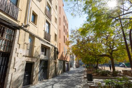 Pis en Lloguer a Barcelona Metges - Armengol