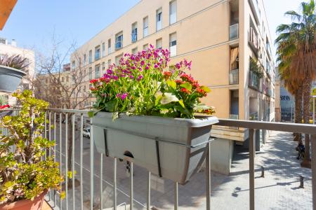 Pis en Lloguer a Barcelona Metges - Armengol