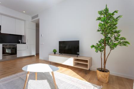 Appartement te huur in Barcelona Provença - Girona (10 Months Minimum)