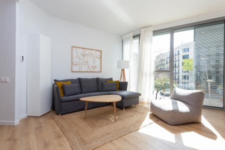 Pis en Lloguer a Barcelona Provença - Girona (10 Months Minimum)