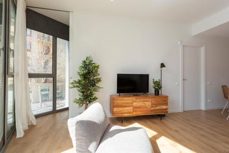 Pis en Lloguer a Barcelona Provença - Girona (10 Months Minimum)