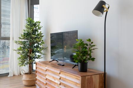 Pis en Lloguer a Barcelona Provença - Girona (10 Months Minimum)