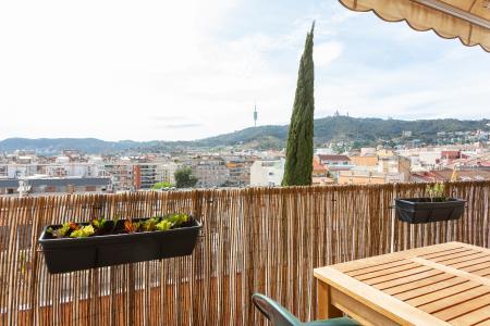 Квартира в аренду в Barcelona Roca I Batlle - Castanyer