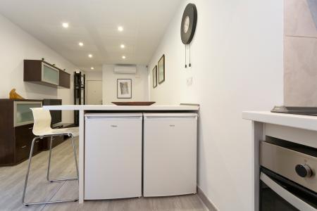 Piso en Alquiler en Barcelona Ramon Rocafull - Llobregós (min 6 Months)