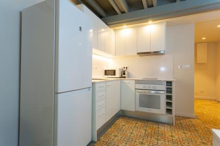 Pis en Lloguer a Barcelona Parlament - Viladomat