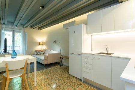 Pis en Lloguer a Barcelona Parlament - Viladomat