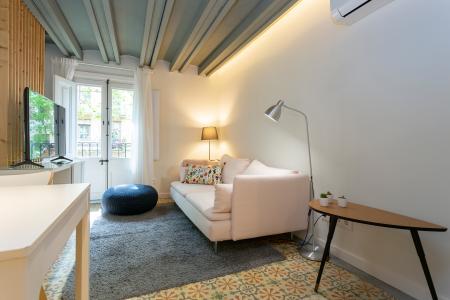 Pis en Lloguer a Barcelona Parlament - Viladomat