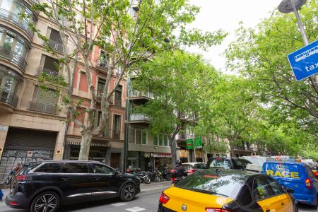 Квартира в аренду в Barcelona Valencia - Girona