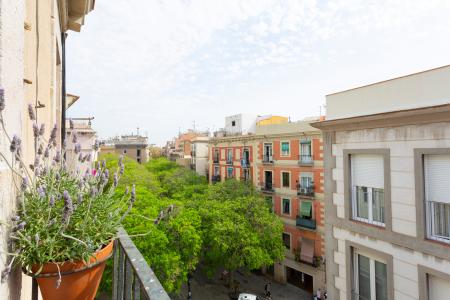 Студия в аренду в Barcelona Carders - Plaça De San Agusti Vell