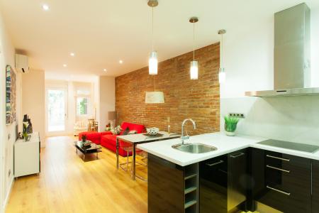 Alquiler mensual grandioso piso de 2 habitaciones