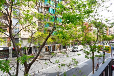 Pis en Lloguer a Barcelona Sants - Plaça De Sants