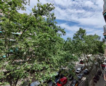 Piso en Alquiler en Barcelona Ronda Sant Pau - Aldana